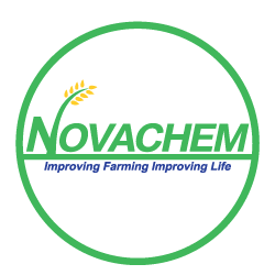 NOVACHEM Branding